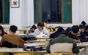 Chỉ học ngoại ngữ thôi rất dễ bị AI thay thế, kết hợp 3 ngành này mới là sự lựa chọn HOÀN HẢO nhất