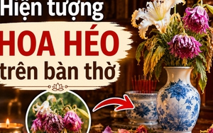 Hiện tượng hoa héo trên bàn thờ