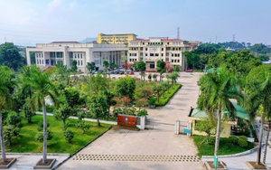 Việt Nam có 1 đại học vùng sở hữu 206 Giáo sư, Phó Giáo sư, 1.005 Tiến sĩ, đang hướng tới top 500 đại học châu Á