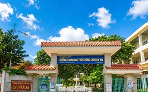 Cả trường bị hạ thi đua, cắt khen thưởng nhưng 'không biết sai ở đâu'