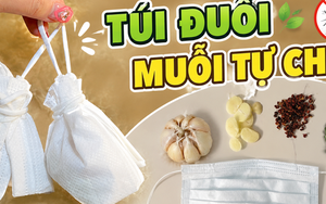 Các “mẹo chống muỗi” đang được nhiều gia đình áp dụng mùa hè này: Có cách chỉ tốn vài nghìn đồng nhưng hiệu quả bất ngờ