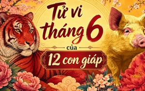 Dự báo biến động tài vận của nhóm Tứ Hành Xung 4 con giáp Dần-Thân-Tỵ-Hợi trong tháng 6