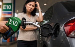 Xăng E10 có làm xe hao nhiên liệu hơn?