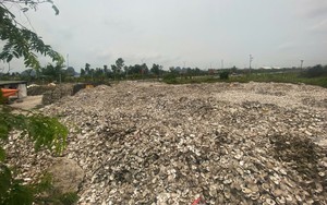 Ra quyết định khởi tố chủ cơ sở chế biến hàu Phạm Thị Thắm SN 1978