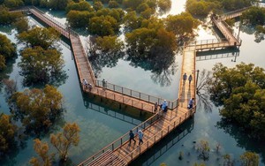 Cú chuyển mình thần kỳ của Hạ Long: Sắp có công viên câu cá lớn nhất thế giới rộng gấp 45 lần sân Mỹ Đình, quy mô lên đến 800 ha