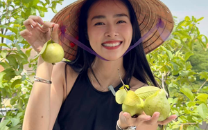 Mỹ nhân Việt làm chủ 3 công ty, sống trong nhà phố 100m2, sân thượng trồng gì mà lúc nào cũng trĩu quả?