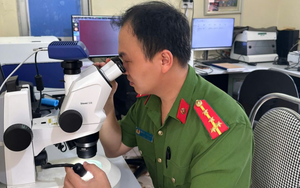 Cảnh báo mới liên quan đến giấy phép lái xe, biển số xe