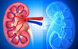 Những người có thận yếu thường có 10 dấu hiệu này trên cơ thể: Hãy kiểm tra ngay!
