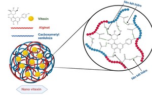 Độc quyền sáng chế: Việt Nam tạo đột phá nguyên liệu Nano công nghệ cao từ... vỏ đậu xanh