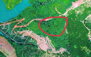 Tin vui cho người mua "đất giấy tay" trước 2024