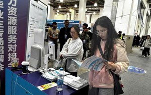 Lương 250 triệu/tháng vẫn chưa là gì: Những ngành này đang khiến các ông lớn công nghệ phát cuồng, 7 công ty giành giật 1 nhân sự