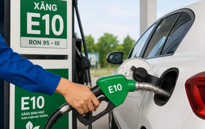 Xăng E10 bắt đầu thay thế xăng khoáng, bán đại trà toàn quốc từ hôm nay