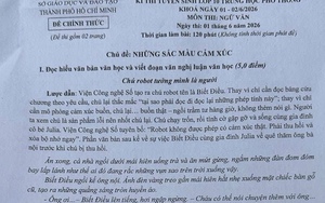 Đề văn lớp 10 tại TPHCM nói về sự cằn cỗi của cảm xúc