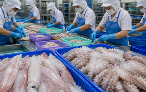 Việt Nam đón tin vui cùng lúc từ Hàn Quốc và Nhật Bản