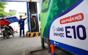 Xăng E10 được kiểm định thế nào trước khi ra thị trường?