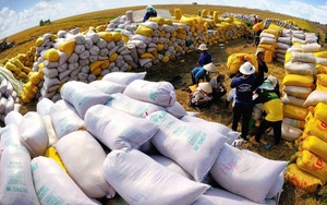 Việt Nam đón tin vui từ mặt hàng xuất khẩu chủ lực: Sản phẩm cao cấp ngày càng được ưa chuộng