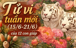 Tử vi tuần mới (15/6-21/6): Top 3 con giáp được Thần Tài "độ", công việc lên hương, tiền bạc nở rộ