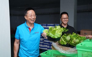 Phát hiện người đàn ông kiếm hơn 31.000 tỷ đồng/năm nhờ kinh doanh rau củ