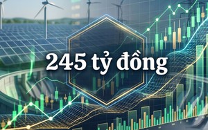 Doanh nghiệp điện do EVN đồng sáng lập trả cổ tức cao nhất trong lịch sử