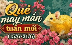 Rút quẻ may mắn tuần mới (15/6 đến 21/6) cho 12 con giáp: Thần Tài gọi tên ai trước, ai cần lặng lại chờ thời?