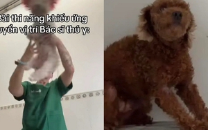 Bác sĩ thú y ở TP.HCM bị chỉ trích khi giày vò chó mèo ở phòng khám, càng lên tiếng càng gây phẫn nộ