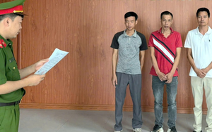 Ra quyết định khởi tố hàng loạt Giám đốc, Phó Giám đốc, Quản lý công ty 