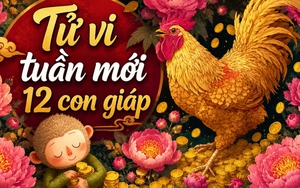 Lời khuyên cho 12 con giáp trong tuần mới (22/6-28/6)