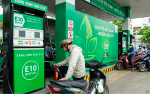 Lời giải cho nỗi lo xăng E10: Không Chính phủ nào lại đi bơm "máu bẩn" vào nền kinh tế