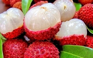 Lời khuyên khi mua vải