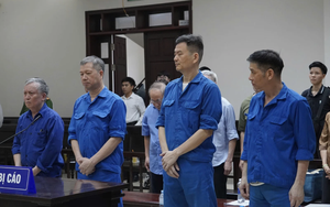 Cựu Tổng giám đốc Vicem được giảm án 2 năm tù
