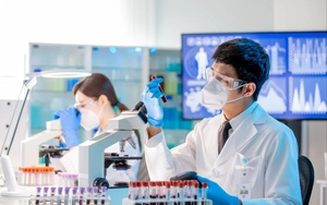 Bỏ dở bằng tiến sỹ, chàng trai dùng AI 'bóc' gian lận của nhiều học giả có tiếng