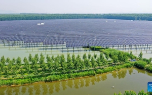 Trung Quốc vừa làm điều khó tin có thể tác động tới ngành cung cấp điện năng