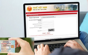 Cơ quan Thuế có thông báo quan trọng về mã số thuế, cá nhân và hộ kinh doanh trên cả nước cần nắm được