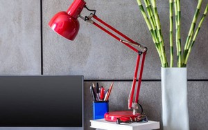 9 loại cây tốt nhất nên để trên bàn làm việc