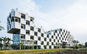 Trường Đại học của Tập đoàn FPT đứng đầu Việt Nam và lọt top 100 thế giới ở hạng mục này