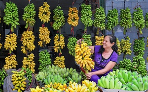 Loại quả ngon nhất thế giới của Việt Nam: Chỉ có ở Ninh Bình, vào mùa là hết sạch, phải đặt trước mới có