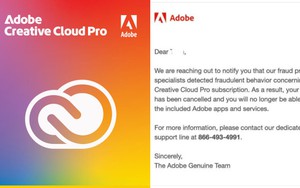 Bị khóa tài khoản dù đang dùng Adobe bản quyền, người dùng khiếu nại nhưng mới chỉ nhận được phản hồi tự động