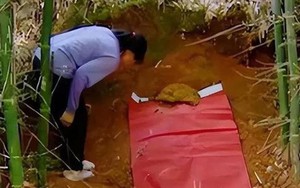 Ra mộ gọi tên chồng lần cuối, người vợ chết lặng khi nghe tiếng đáp lại từ dưới lòng đất