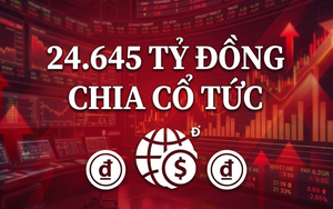 Ngày mai hạn cuối ghi tên vào danh sách nhận 24.645 tỷ đồng tiền mặt từ công ty họ Vingroup