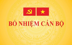 Ông Trần Anh Tiến giữ chức Phó Chủ nhiệm Văn phòng Chính phủ