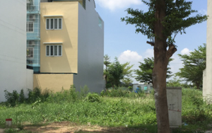 Tôi vô tình biết được bố mẹ chồng đã bán đất từ nhiều tháng trước, lý do nực cười là... vì tôi