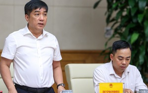 Chủ tịch Đèo Cả: Doanh nghiệp Việt phải 'mượn' hồ sơ đối tác ngoại để tham gia các dự án lớn