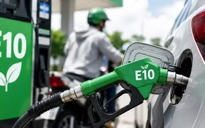 Ai chịu trách nhiệm nếu xe hỏng do sử dụng xăng E10?