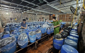 Tuồn 1.000 tấn giá đỗ ngâm hóa chất ra thị trường, 3 người bị bắt