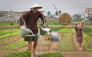 Việt Nam có ngôi làng khách Tây xếp hàng để được làm nông dân, bí quyết rau ngon nằm ở một loại "phân bón" lạ