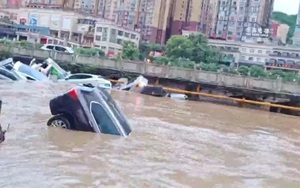 Nắng nóng, lũ lụt và cháy rừng: Thế giới trải qua tháng 5 đầy khắc nghiệt