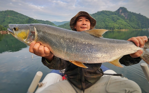 "Cọp nước" khét tiếng vùng Đà Giang: Hung dữ không loài nào sánh bằng