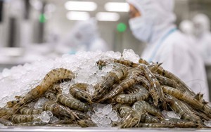 Tin vui từ nền kinh tế số 2 thế giới: Ưa chuộng mặt hàng tỷ USD của Việt Nam, nhập về 343.000 tấn