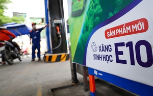 Công bố địa chỉ email tiếp nhận phản ánh về xăng E10
