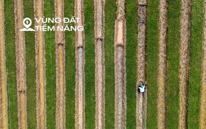 Toàn cảnh khu vực rộng gấp 6 lần phường Hoàn Kiếm, từng là nơi sinh sống của gần 250.000 người dân Hà Nội...sắp được làm siêu dự án chưa từng có